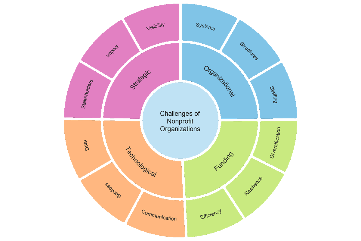 NGO challenges