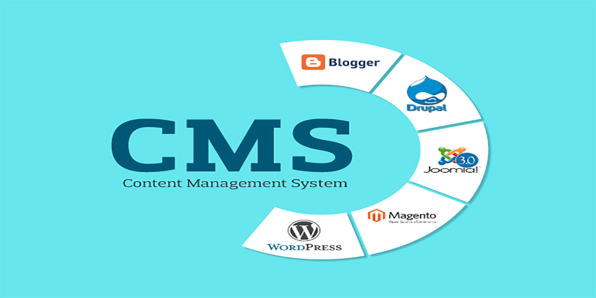 content management system to use