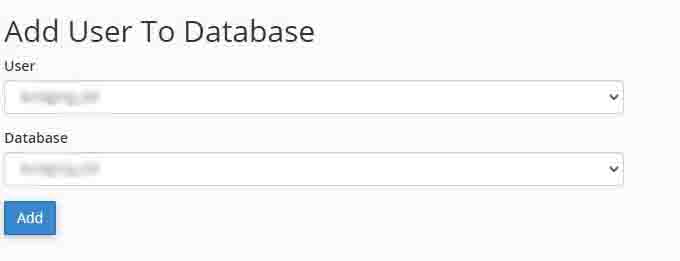 add user to database