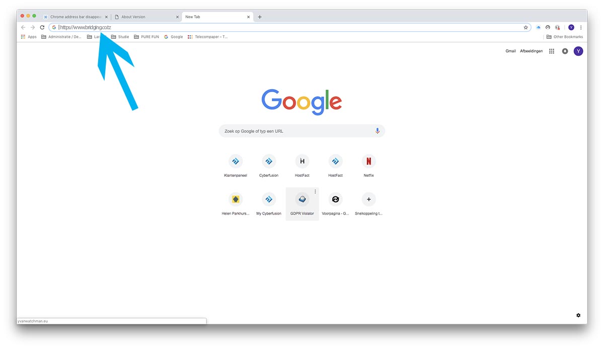 Google Chrome address bar with bridging.co.tz