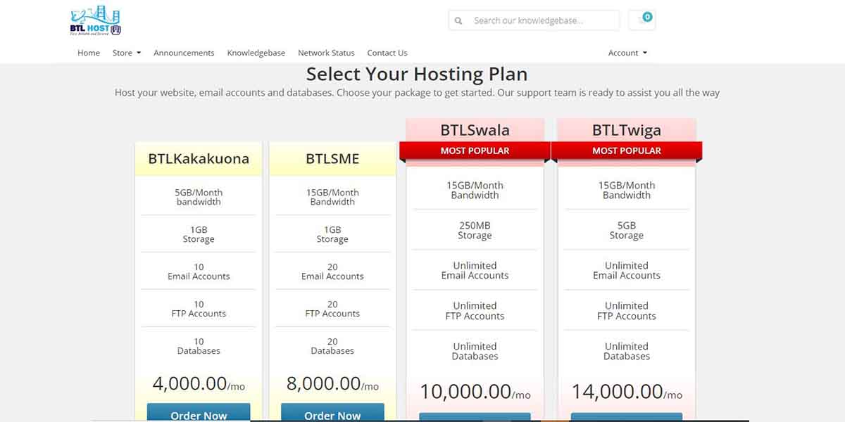 webhosting packages in tanzania