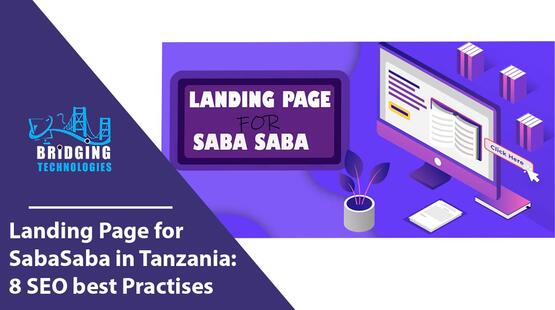 Landing page for SabaSaba in Tanzania: 8 SEO best practices