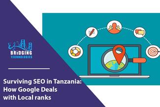 seo in Tanzania